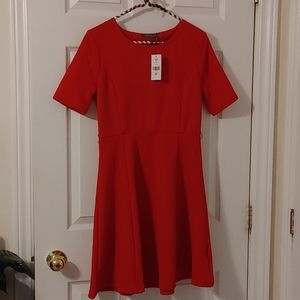 3/25$ Red swing dress
